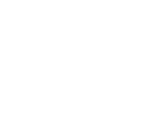 FlyCloud Sales Consultants Logo